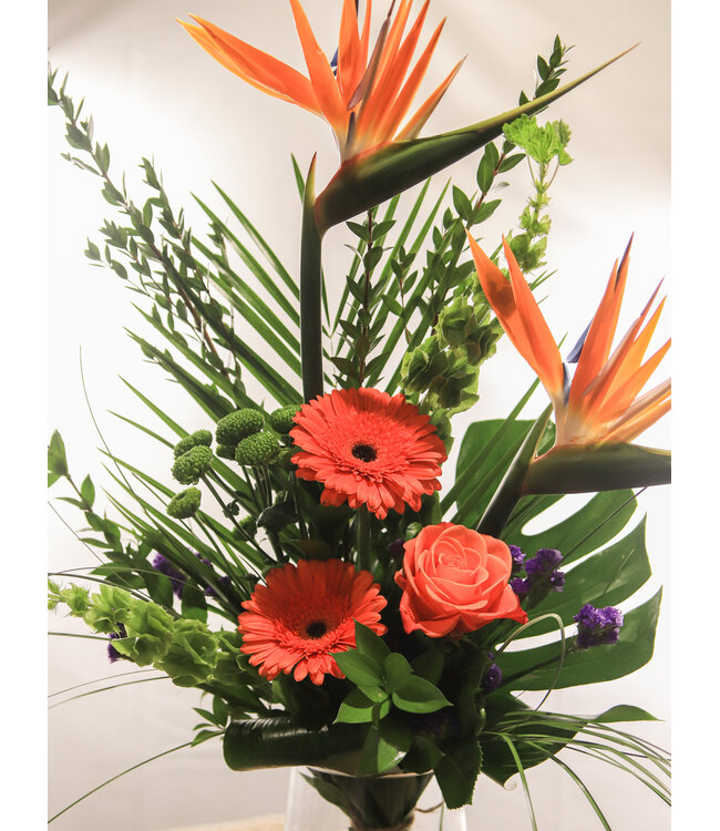 Coup de Foudre | SV-013