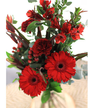 Signé Garneau La Grande Passion | SV-015