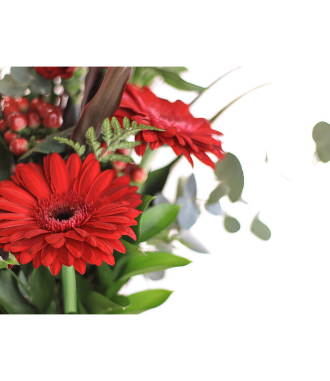 Signé Garneau La Grande Passion | SV-015