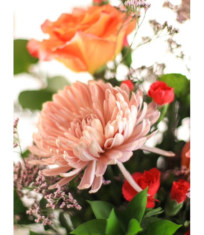 Signé Garneau Déclaration d'Amour | SV-2405