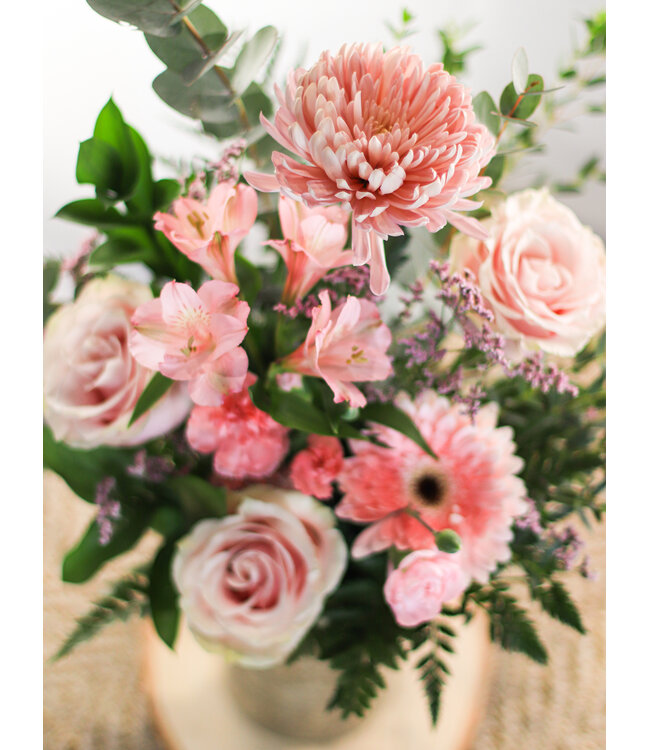 Ma Douce Amour | SV-014