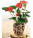 Signé Garneau Valentin d'anthurium | SV-040