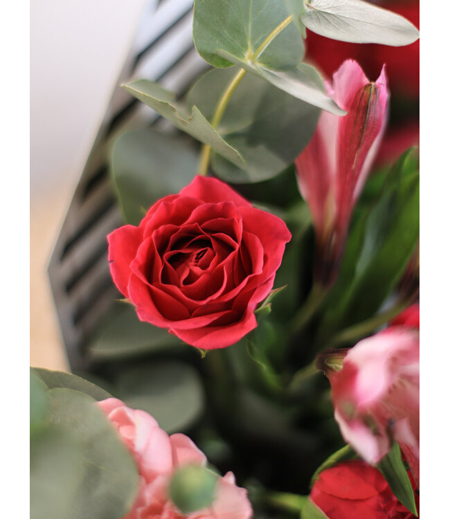 Signé Garneau Courrier du coeur | SV-042