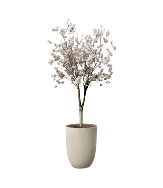 Pot Sereh high 16 po