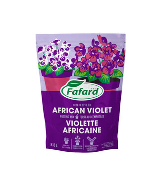 Terreau violettes africaines