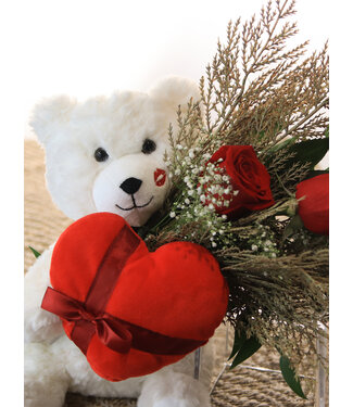 Signé Garneau Gros Câlin | SV-2403