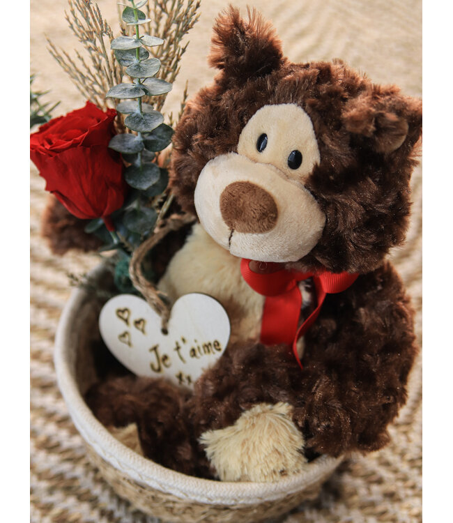 Signé Garneau Mon Ti-Ours | SV-2404