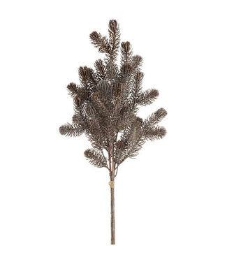 Branches de sapin brunes décoratives sur tige