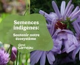 La découverte des semences indigènes | Boutique Signé Garneau