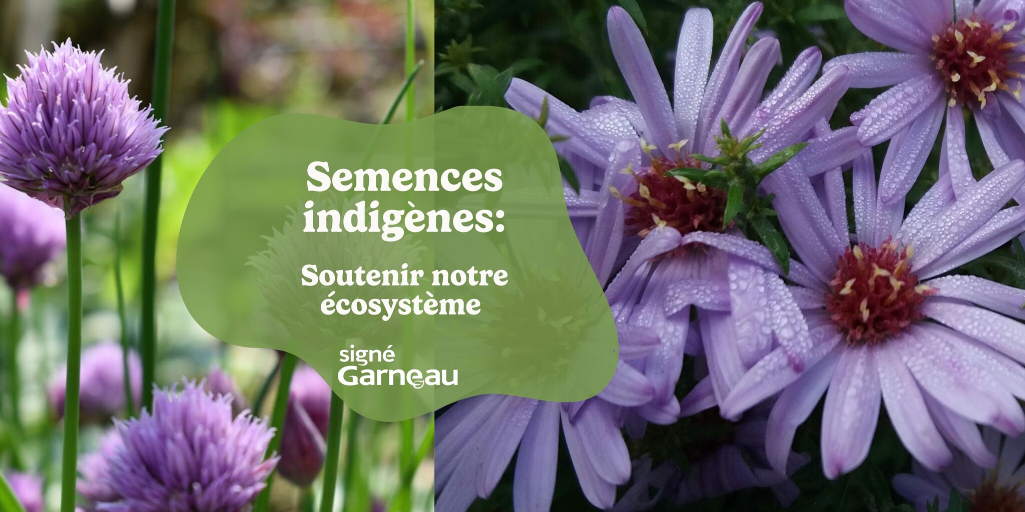 La découverte des semences indigènes | Boutique Signé Garneau