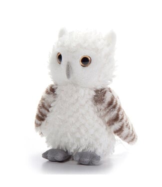Hibou 8 po