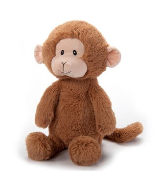 Singe 13 po