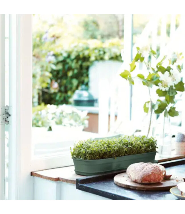 Plateau de culture vert | Pour semis écoresponsables