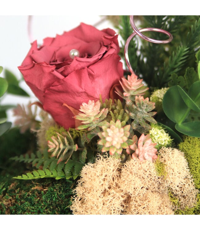 Présence céleste - AF-2602