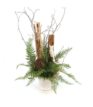 Signé Garneau CatLover - AF-2609