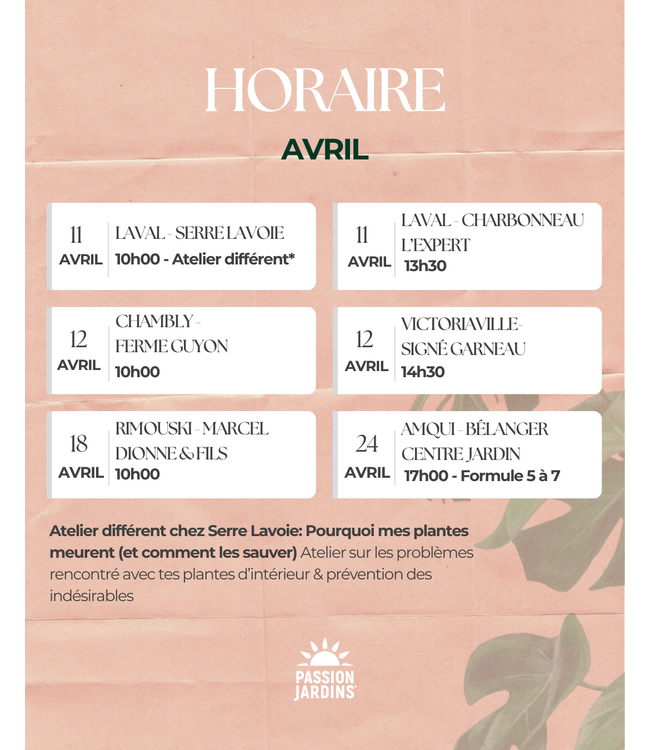 Conférence avec Laura Pigeon! | GRATUIT!