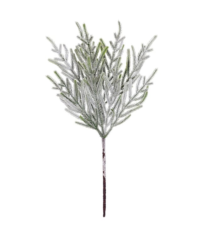 Tige Norfolk enneigé | Verdure décorative réaliste