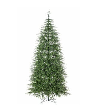 Sapin Norfolk 7,5 pi x 50 po