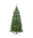 Sapin Norfolk 7,5 pi x 50 po