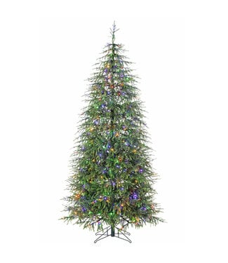 Sapin Norfolk 700 lum. 7,5 pi x 50 po