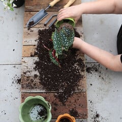 Promotions et événements