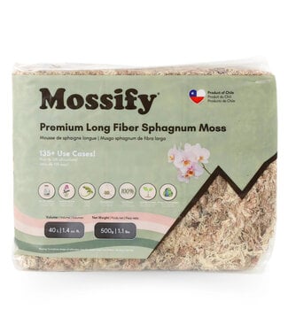 Mousse de Sphaigne