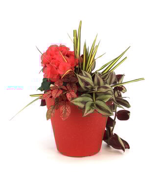 Arrangement fleurs annuelles 8 po