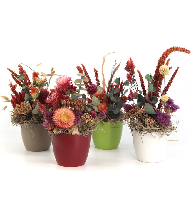 Arrangement de fleurs artificielles | Décoration naturelle bohème et colorée | Petit pot décoratif tendance