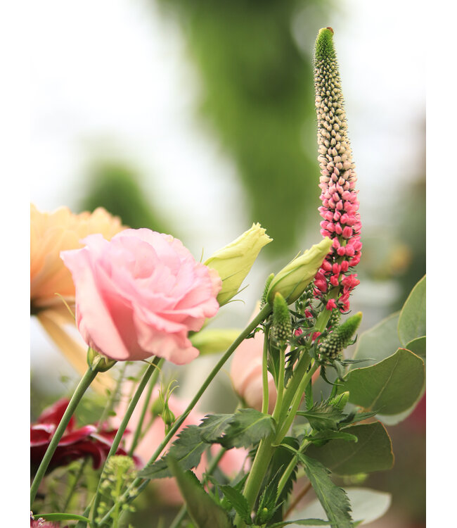 Signé Garneau Bouquet ARDENTE | FM-2601