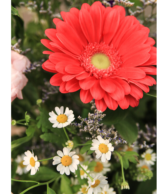 Signé Garneau Bouquet AUDACIEUSE | FM-2603