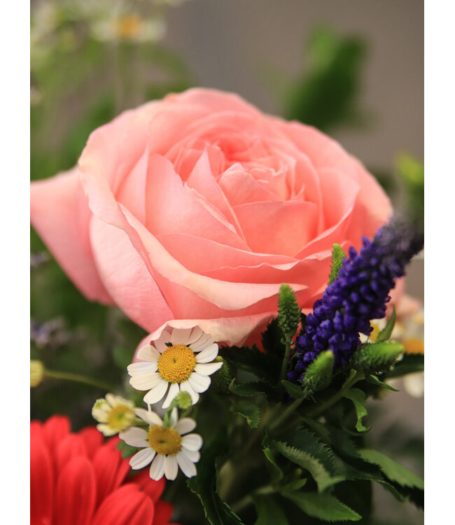 Signé Garneau Bouquet AUDACIEUSE | FM-2603