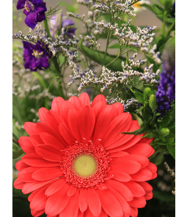 Signé Garneau Bouquet AUDACIEUSE | FM-2603