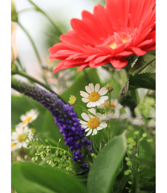 Signé Garneau Bouquet AUDACIEUSE | FM-2603