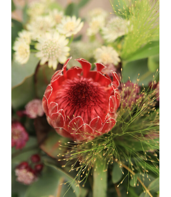 Signé Garneau Bouquet ICONIQUE | FM-2604