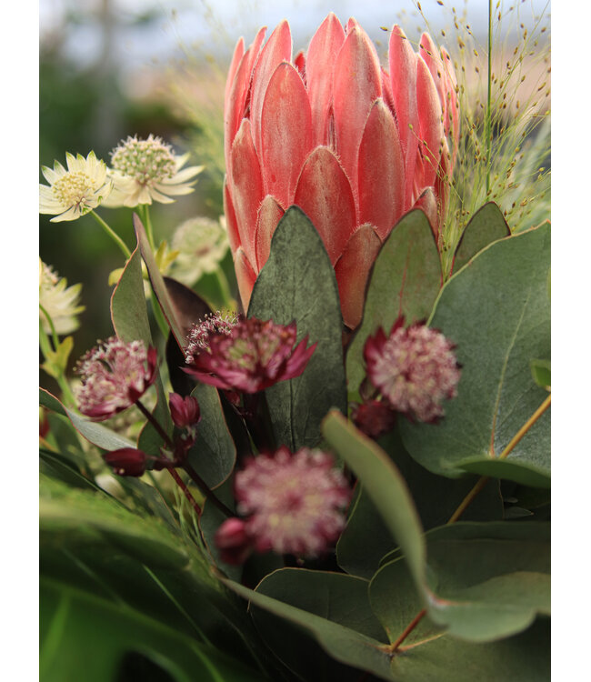 Signé Garneau Bouquet ICONIQUE | FM-2604