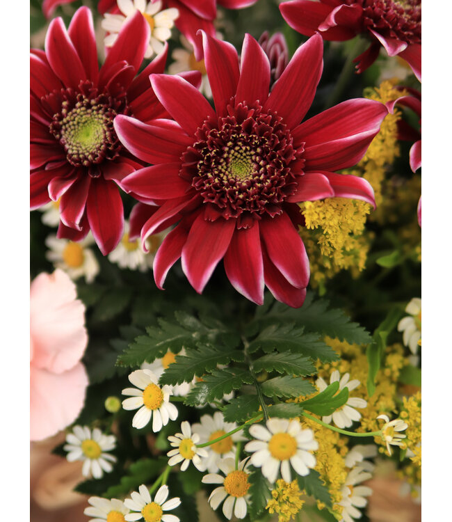 Signé Garneau Bouquet  GÉNÉREUSE | FM-2606 | 360 degrés, vase inclus!