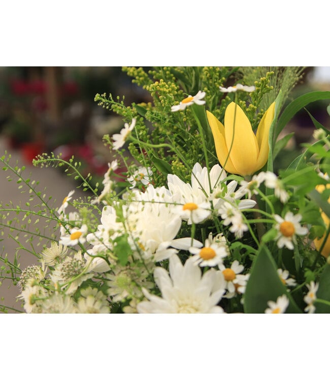 Signé Garneau Bouquet SOLAIRE | FM-2602