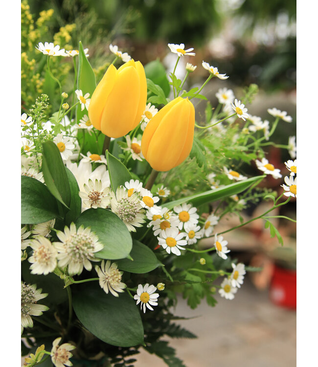 Signé Garneau Bouquet SOLAIRE | FM-2602