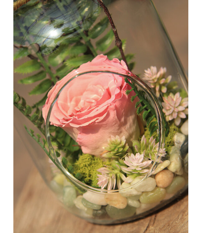 Arrangement de fleurs | Rose éternelle