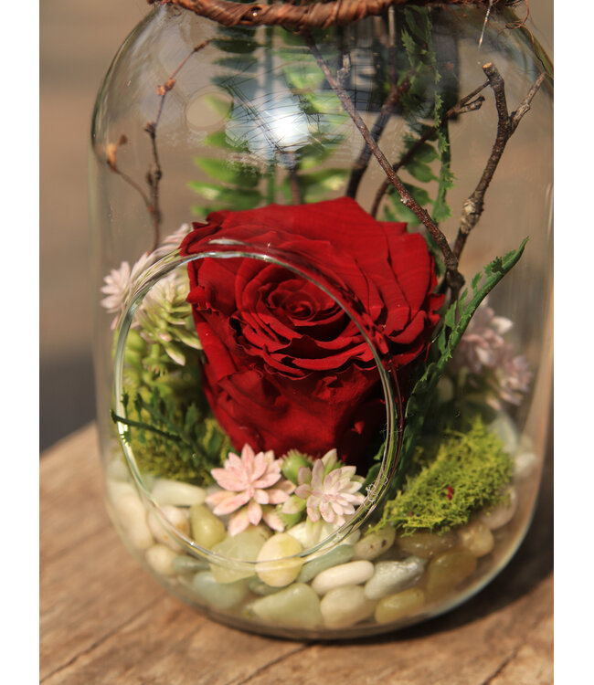 Arrangement de fleurs | Rose éternelle