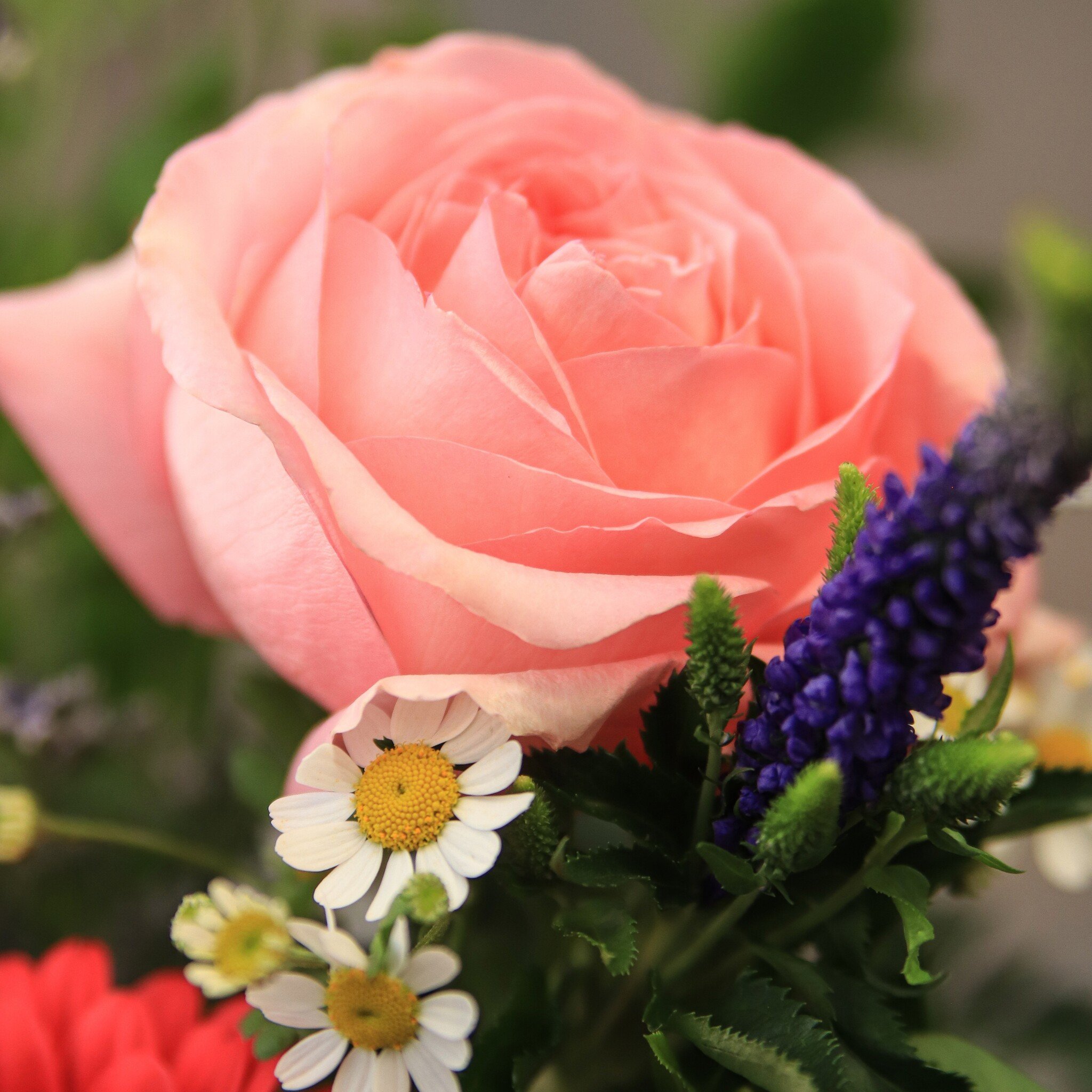 Fête des Mères | Boutique Signé Garneau