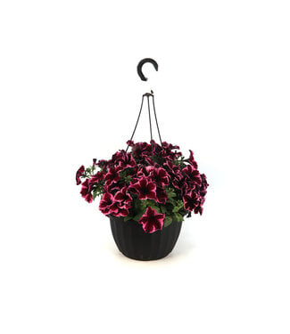 Jardinière  12 po