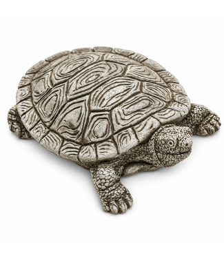 Tortue Shelby BR