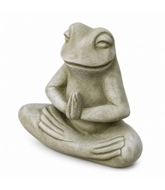 Grenouille méditation EM