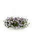 Jardinière fleurs ou légumes 10 po