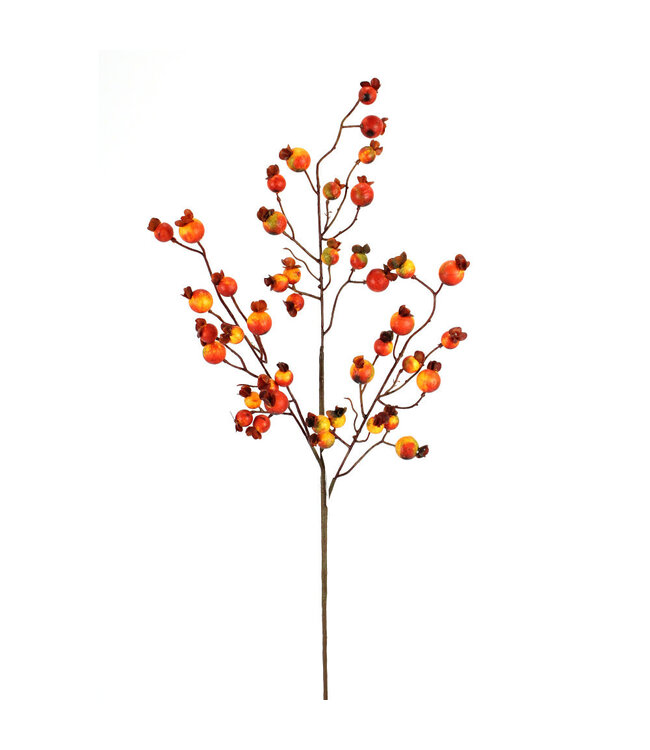 Tige de baies oranges | Décoration d'automne et d'Halloween