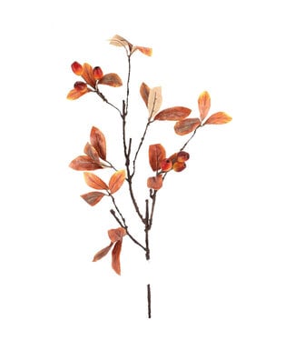 Tige de feuilles et baies brun/orange
