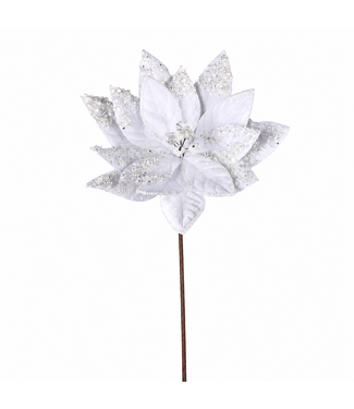 Tige de poinsettia blanc brillant