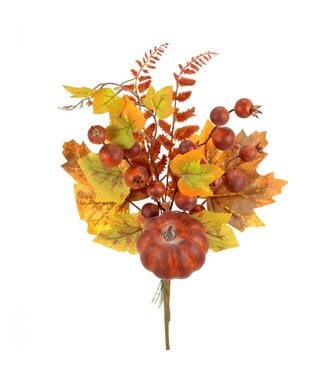 Pic citrouille, baies et feuilles orangées