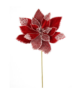 Tige poinsettia rouge éclatant glacé